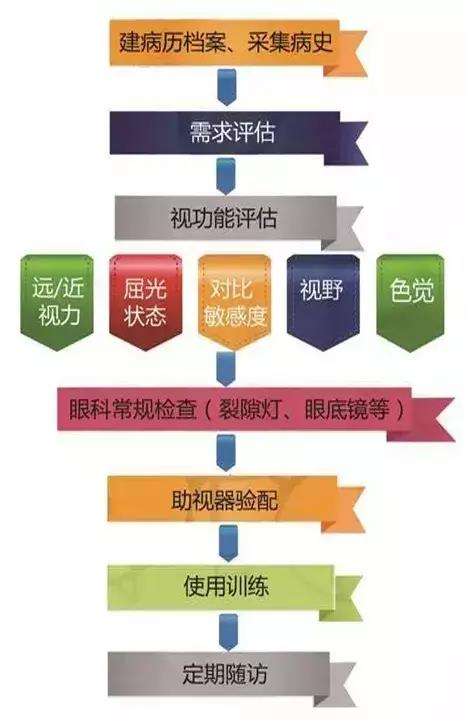 低視力康復流程