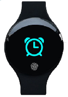 Vibrating reminder Watch