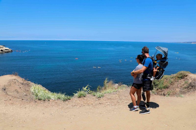 跨途型-全時智能膝關節-