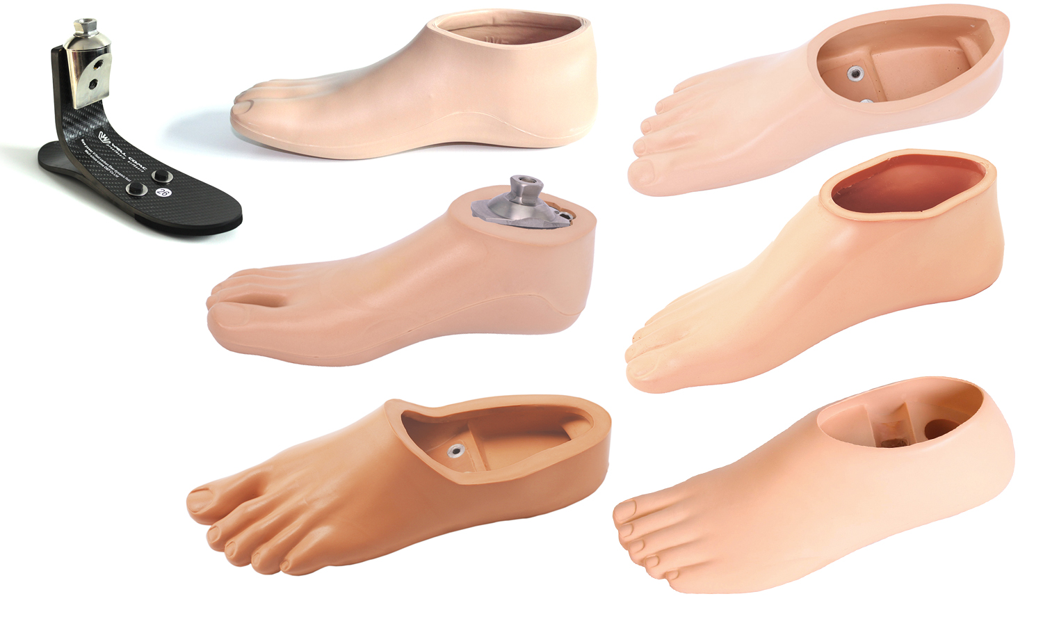 假肢腳、腳皮