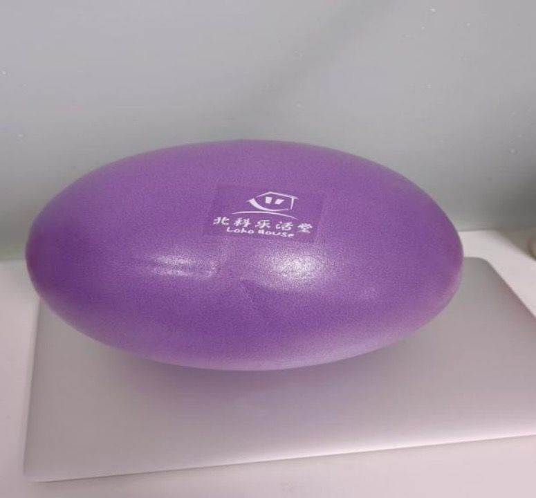 普拉提球（老年人體適能訓練輔具）-